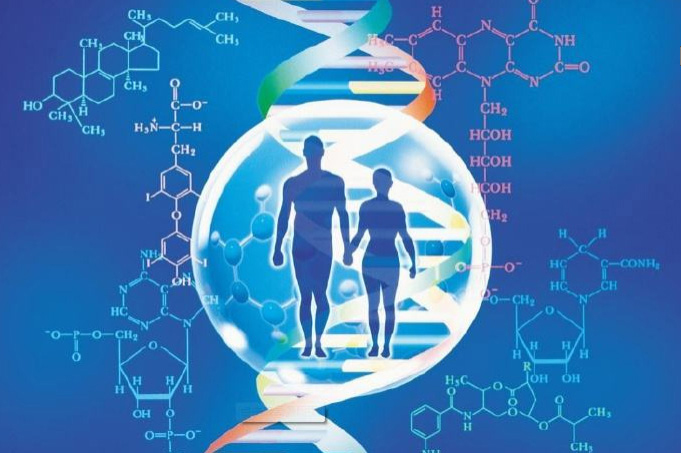 宁波正规的DNA鉴定中心在哪里,宁波正规的亲子鉴定机构多少钱